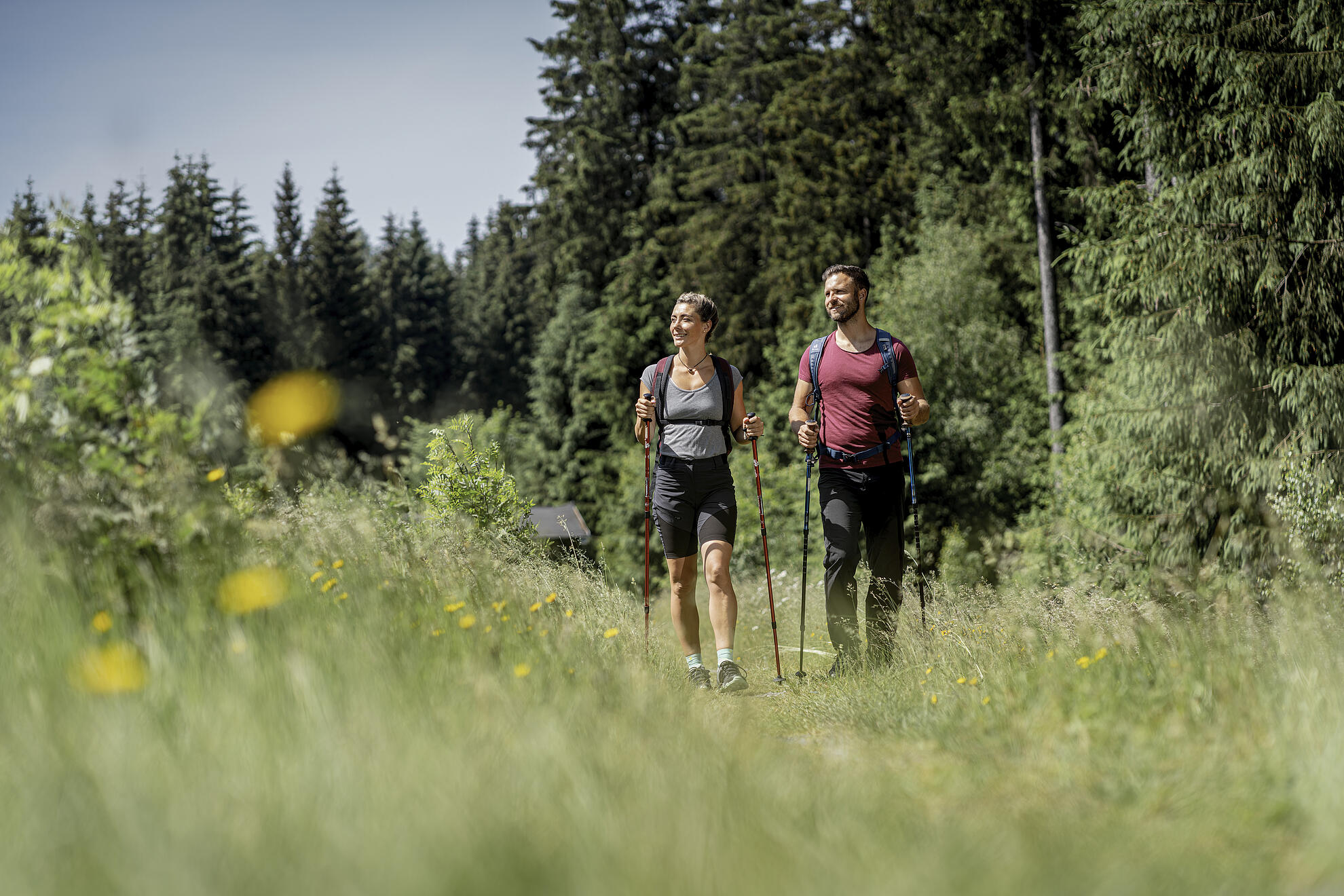 Wanderer unterwegs auf dem Kammweg Muldenberg